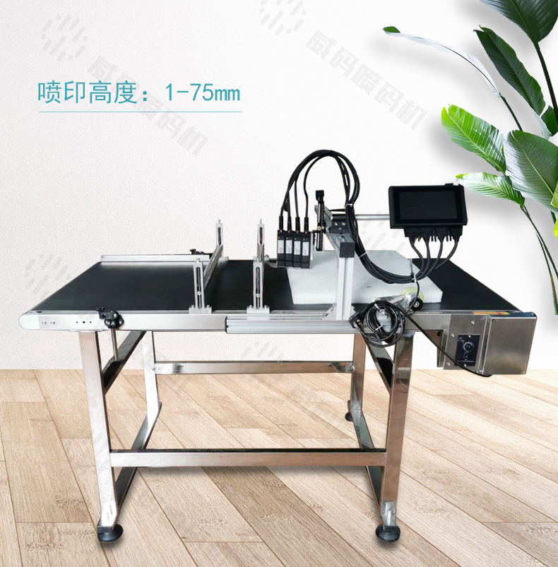 �����އ��a�C(j��)